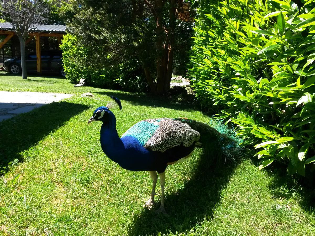 El Aguila Aparthotel San Carlos de Bariloche Kültér fotó